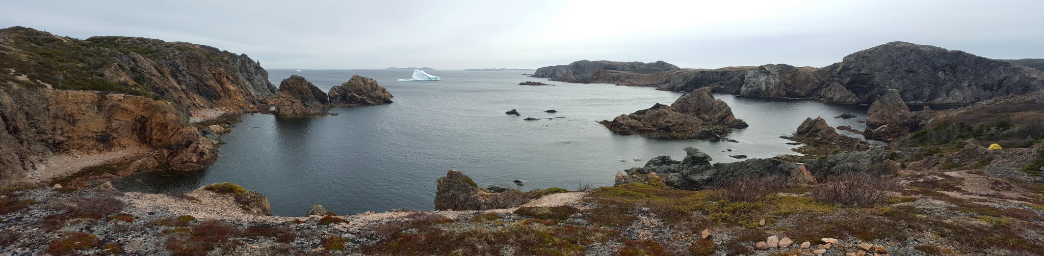 Spiller's Cove in Twillingate