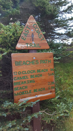 Beach's Path section of the East Coast Trail. 