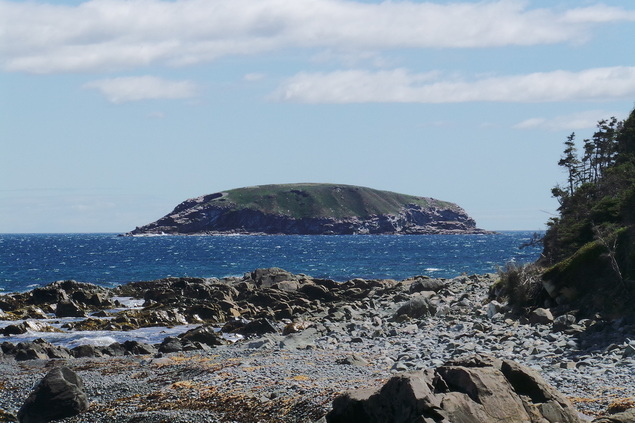 Green Island of the Witless Bay Ecological Reserve. 