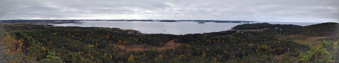 Top of Twillingate lookout.
