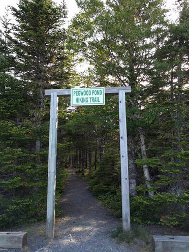Entrance to Butter Pot Hill hiking trail. 