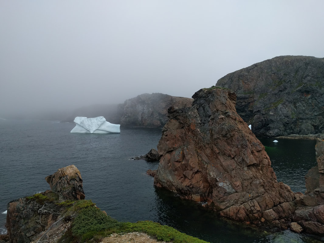 Icebergs in Spillers Cove. 